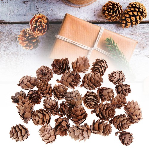 Pine cones christmas natural - christmas,