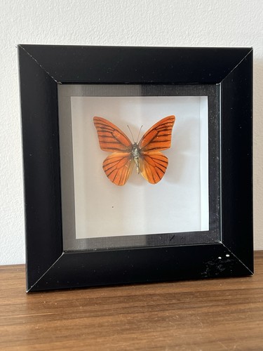 Vintage style 1990 framed - vintage,