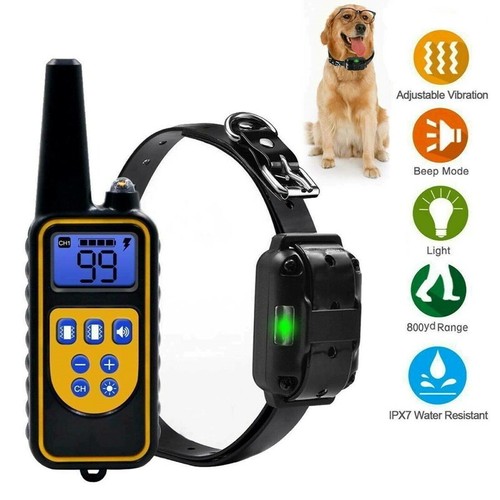 Remote dog training - remote, collar