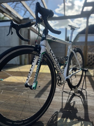 Colnago c59 team edition - team,