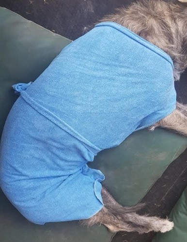 Cooling drying coat for - coat,