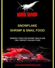 20g of Bonsai Shrimp -