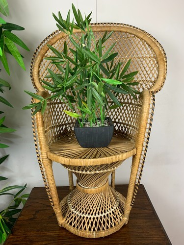 Mid century vintage rattan - mid,