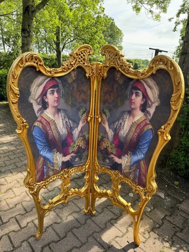 Room divider screen french - room,