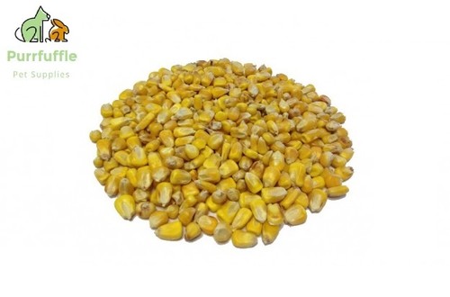 25kg particle bait - 25kg, maize