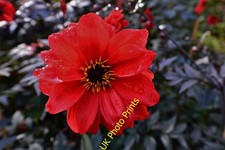 Photo 6x4 Pashley Manor