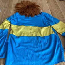 Horrid Henry Costume Age 10-12 Years M