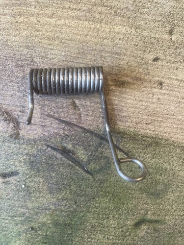 Grass flap spring - spring, 2014