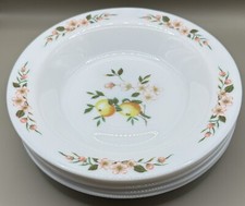 Set 6 Vintage Arcopal Milk