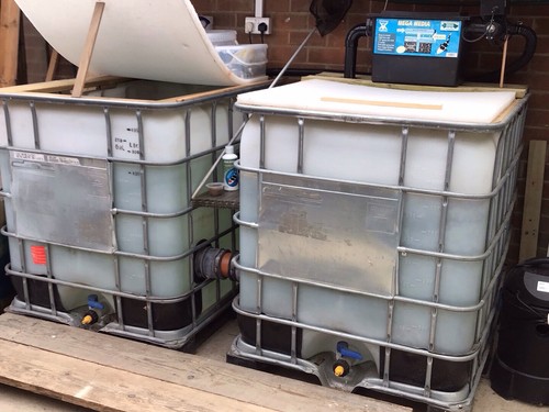 Quarantine tanks for koi - quarantine, carp