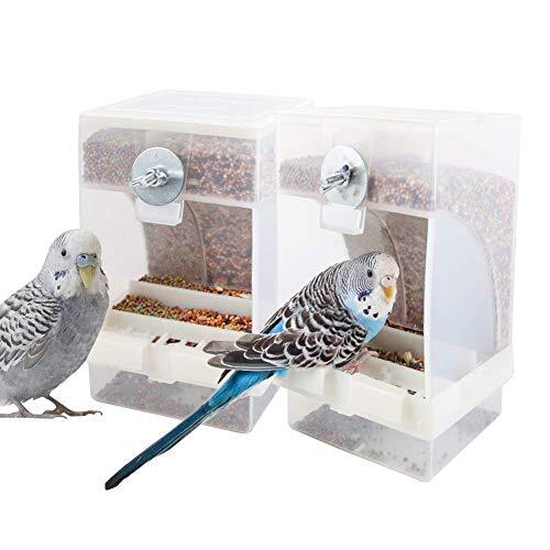 Mess bird feeder parrot - bird,