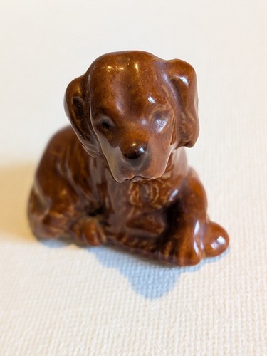 Red setter pup wade - setter,