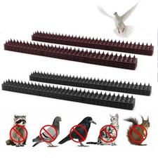 Fence Wall Spikes Garden