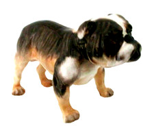 RARE ROYAL DOULTON - BULLDOG