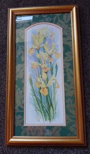 Golden irises adelene - irises,