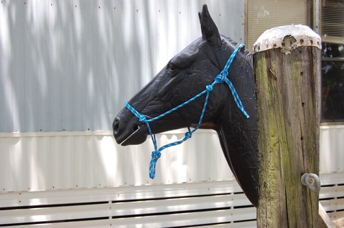 Natural horsemanship soft - horsemanship,