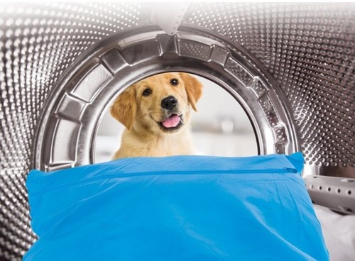 Pet hair laundry bag - pet,