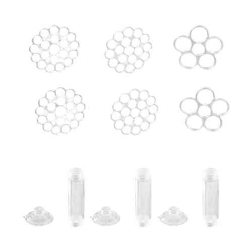Floral stems holder - stems, flower