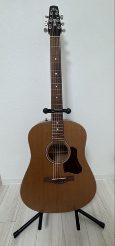 Acoustic guitar seagull - guitar,