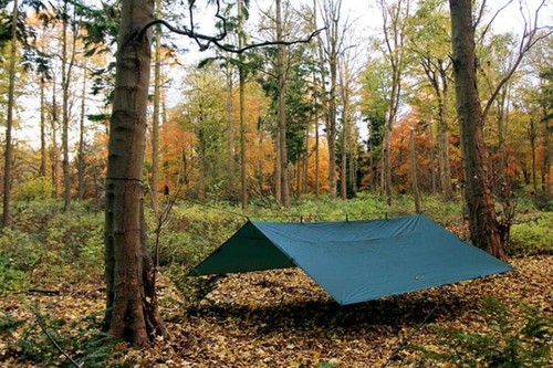 Tarp various - x, 4