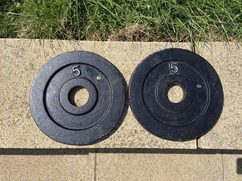 5kg york olympic weight - 2,