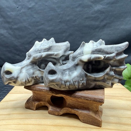 Natural shellstone dragon - shellstone,