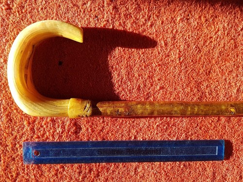 Rams horn walking stick - , or