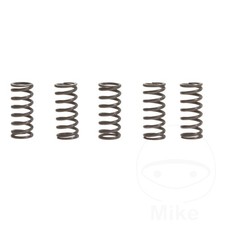 TRW Clutch Spring Kit 1 Pack