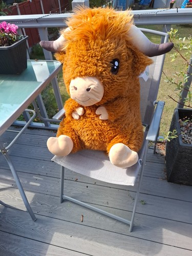 Large highland cow soft toy - highland,