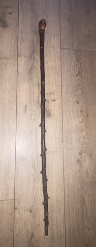 Blackthorn walking stick - walking, irish
