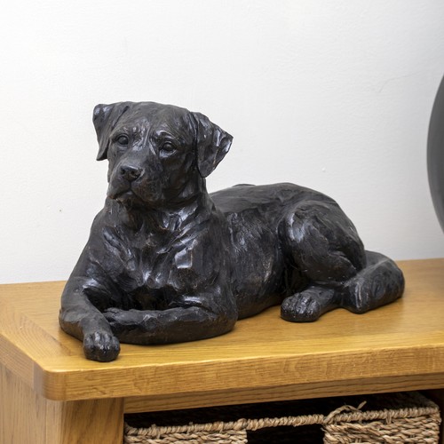 Black laying labrador - black,