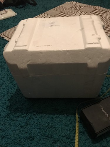 Polystyrene box frozen cool - box,
