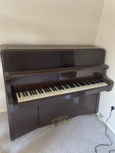 Murdoch bentley small upright - bentley,