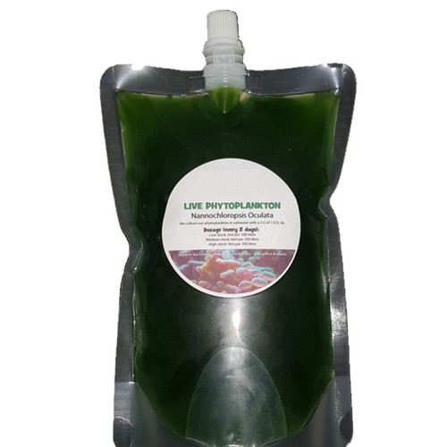 Live phytoplankton plants - phytoplankton,