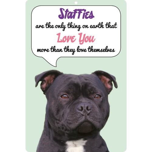 Black staffie dog - black, sign