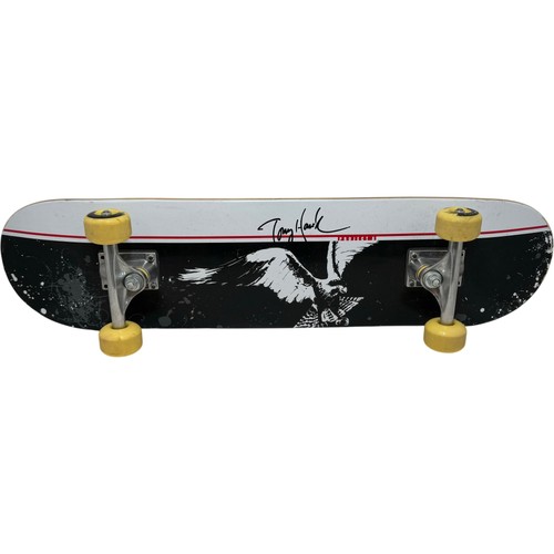 Tony hawk project complete - project, 8