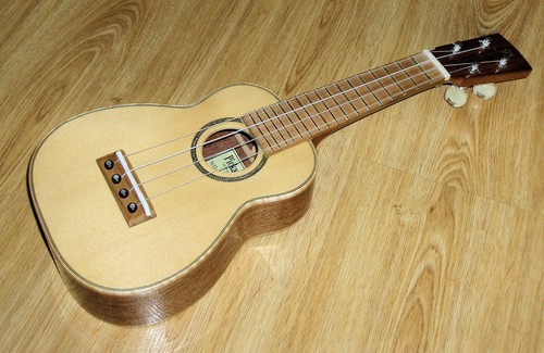Pickard acoustics sopranino - pickard,