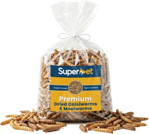 Dried mealworm calciworm 50 - dried,