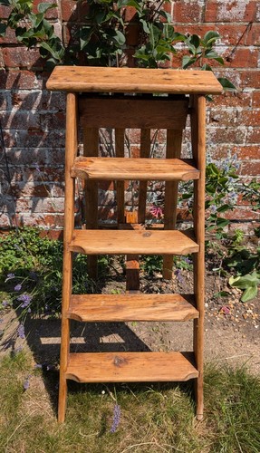 Vintage pine wooden - pine,