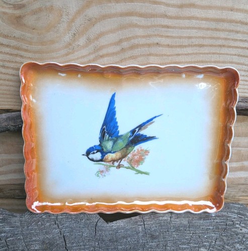 Vintage victoria china - victoria,