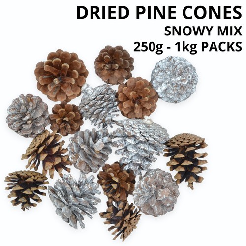 Dried pine cones cone - cones, &