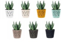 Indoor Plant Pots with Insert and Drainage Holes Plastic Flowerpot Small Large
