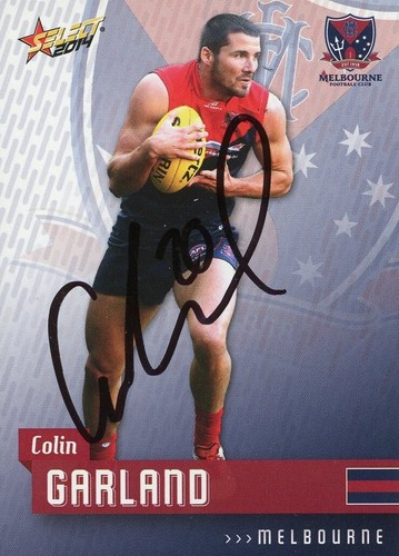 Signed 2014 melbourne demons - signed,