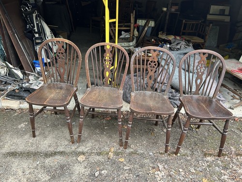 Set elm seated - set, wheel