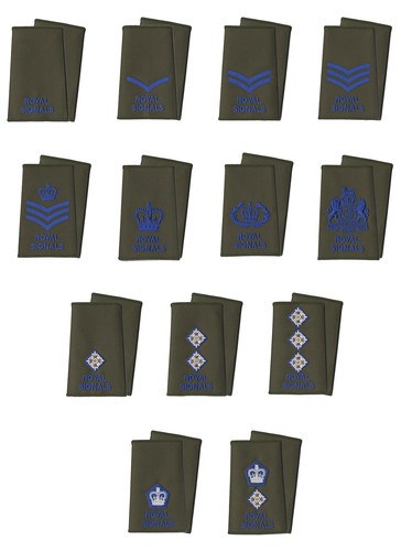 Pair royal signals blue on - royal,