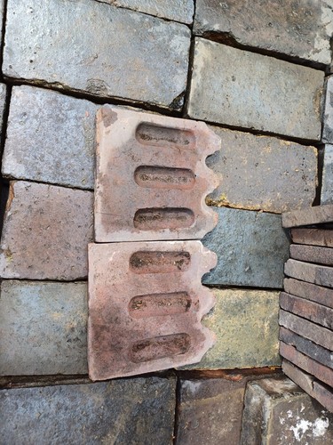 Reclaimed blue brindle - reclaimed, /