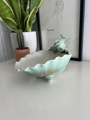 Shell soap dish trinket - shell,