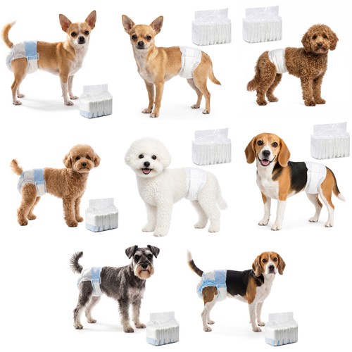 Pack disposable dog diapers - dog,