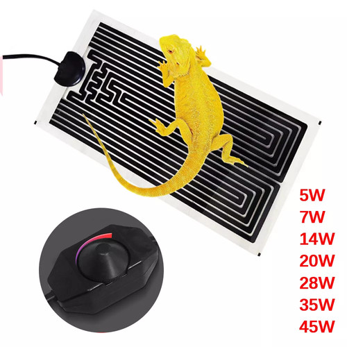 Adjustable temperature reptile - temperature,