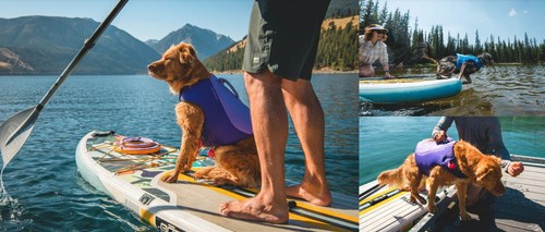 Ruffwear float coat dog life - float,